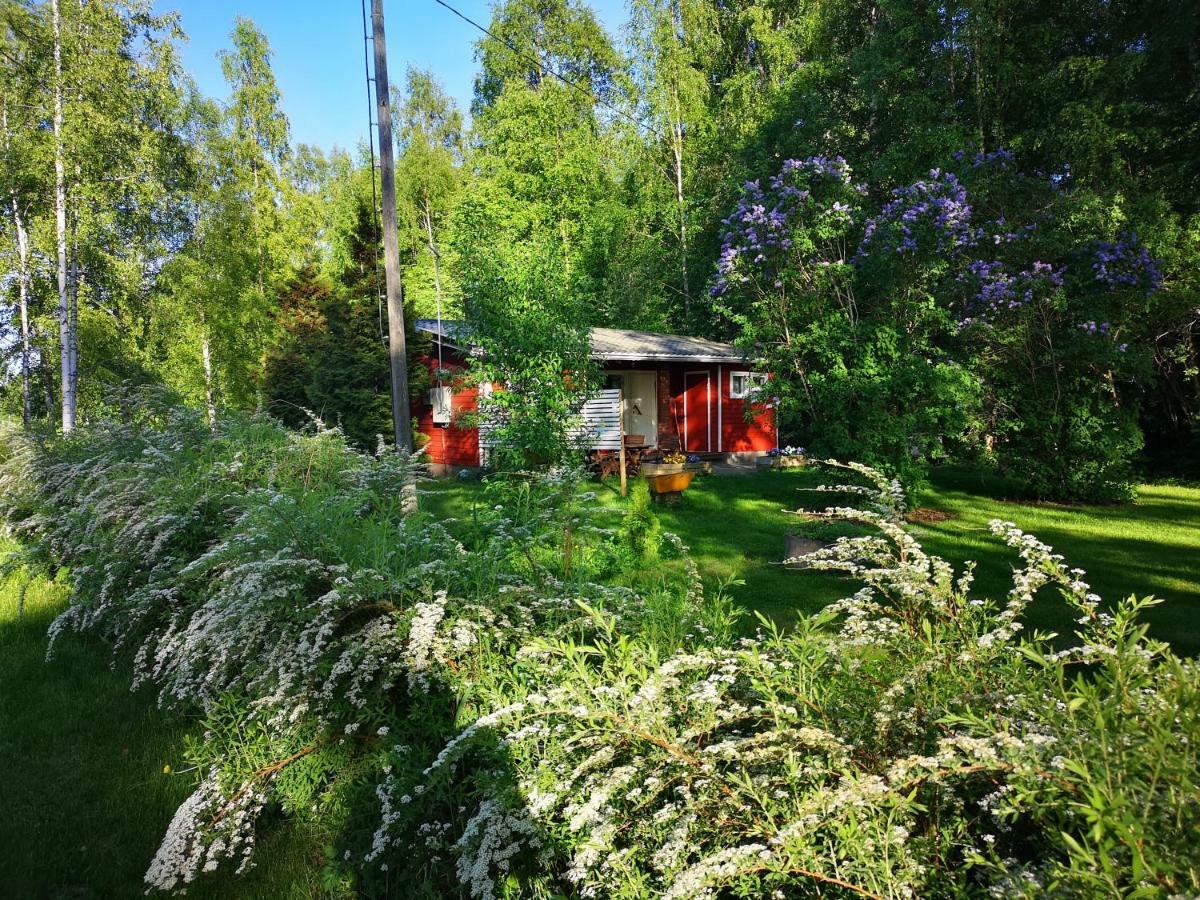 Koivuniemi Cottage Сякюля Экстерьер фото