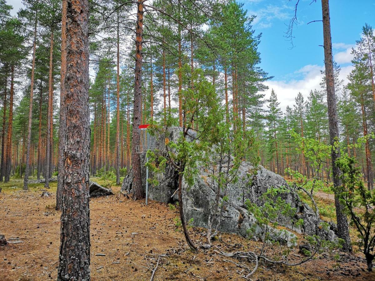 Koivuniemi Cottage Сякюля Экстерьер фото