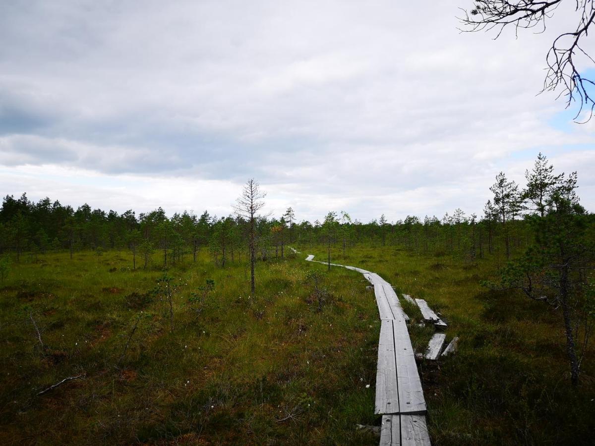 Koivuniemi Cottage Сякюля Экстерьер фото